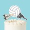 Big Dot of Happiness Volleyball Cake Topper Set, Bump Set Spike Sports-Themed Party Dessert Decorations for Volleyball Birthday or Team Party – 3 Ct
